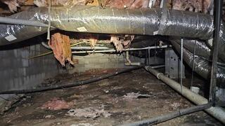SmartJack Installation Stabilizes Sagging Floors in Moncure, NC Crawl Space