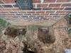 Stabilizing Brick Chimney in Cary, NC