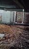 Stabilizing a Settling Modular Home with SmartJack Support - Purlear, NC
