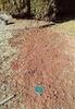Yard Drainage Solution Installed in Hickory, NC