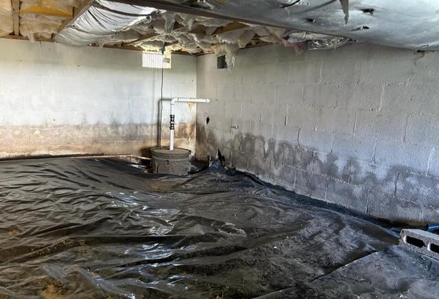 Crawlspace transformation in Stafford, VA