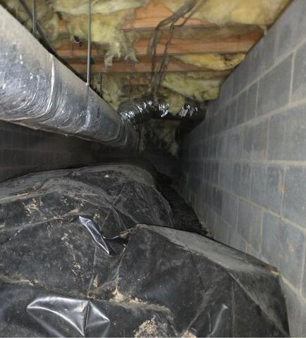 Crawl Space Encapsulation in Lovingston, VA - Before Photo
