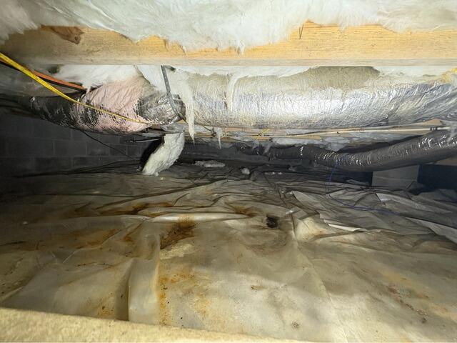 Crawl Space Encapsulation in Port Republic, Virginia - Before Photo