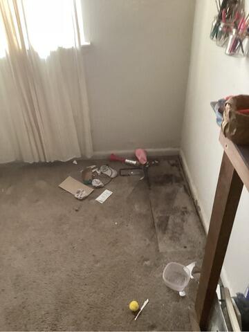 Basement Waterproofing in Warm Springs, Virginia - Before Photo