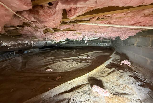 Crawl Space Encapsulation in DHS, Maryland - Before Photo