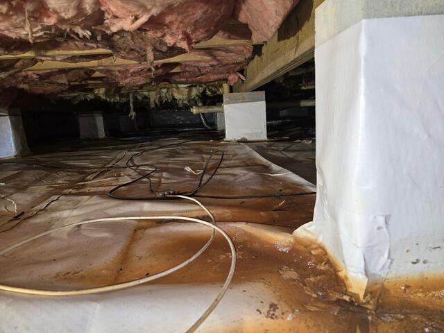 Crawl Space Encapsulation in Concord, Virginia - Before Photo