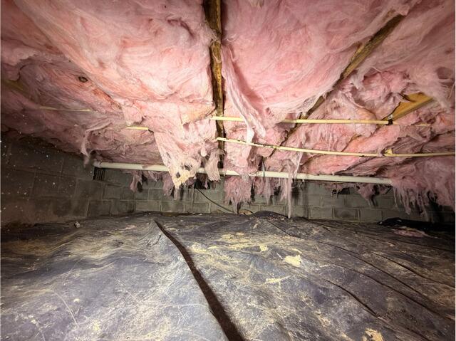 Crawl Space Makeover in Wardensville, Virginia - Before Photo