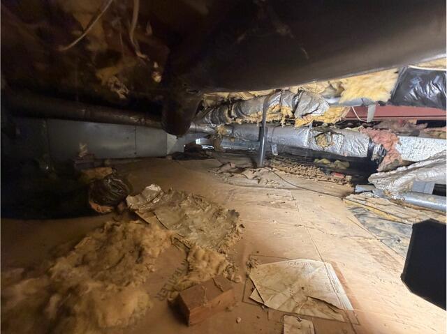 Crawl Space Encapsulation in Vienna, Virginia - Before Photo