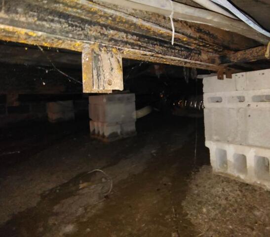 Nasty crawl space repair in McHenry, Maryland - Before Photo