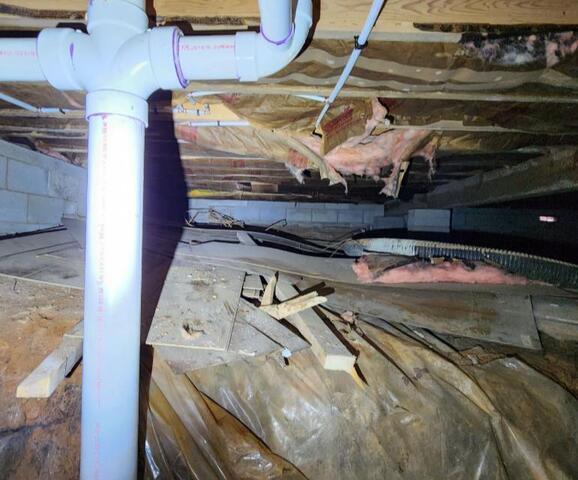 Crawl space transformation in Charlottesville, VA