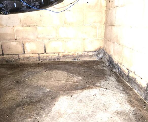 Moldy crawl space repair in Vienna, Virginia