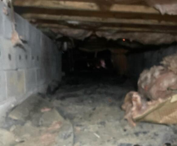 Crawl space transformation in Martinsburg, WV