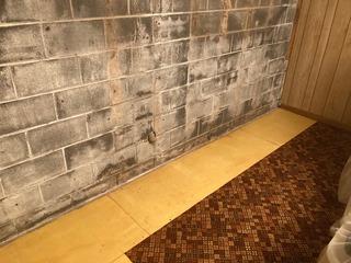 Danville, VA Basement Waterproofing