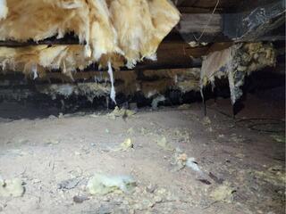 Crawl Space Encapsulation in Clover, Virginia