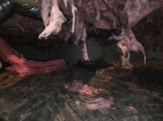 Roseland, Virginia Crawl Space Encapsulation