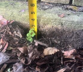 Stabilzing and lifting a front porch in Brookville, Maryland