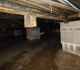 Nasty crawl space repair in McHenry, Maryland