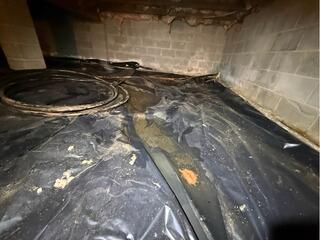 Crawl Space Encapsulation in Madison, Virginia
