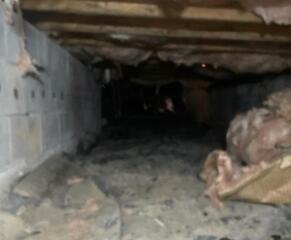Crawl space transformation in Martinsburg, WV