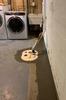 Danville, VA Basement Waterproofing