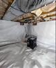 Crawlspace transformation in Stafford, VA
