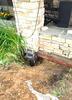 Stabilzing and lifting a front porch in Brookville, Maryland