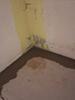 Selling a dry basement in Winchester, VA