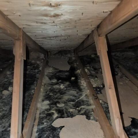 Attic insulation in Gore, QC: no more moisture and mold problems - Before Photo