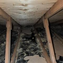 Isolation de grenier à Gore, QC : fin des problèmes d'humidité et de moisissure