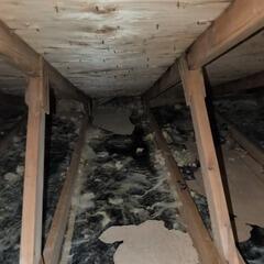 Attic insulation in Gore, QC: no more moisture and mold problems