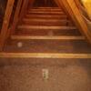 Attic insulation in Outremont, QC: Protect the structure, improve comfort, reduce costs