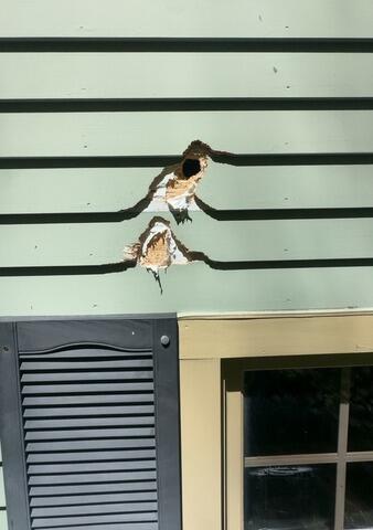 Exterior transformation in Silver Beech Roas ,CT
