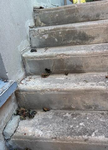 Sealed for Life: Protecting Concrete Steps from Water, Shifting, and Cracks - Before Photo