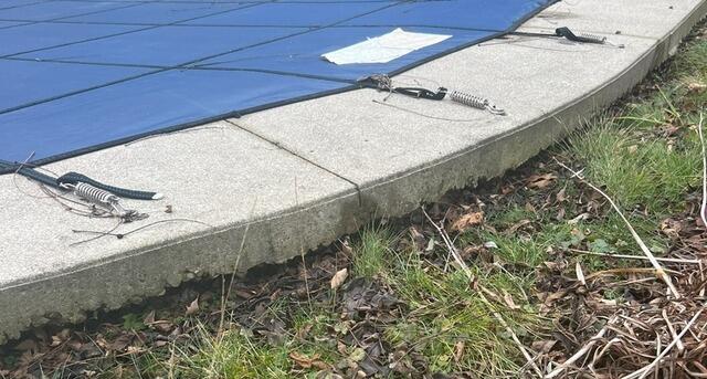 Restoring an Ancaster, Ontario Backyard Oasis - Before Photo