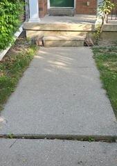A Safer Path Home: Solving a Toronto Entryway