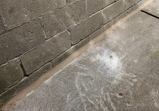 Giving a 1950s Walkway New Life in East York