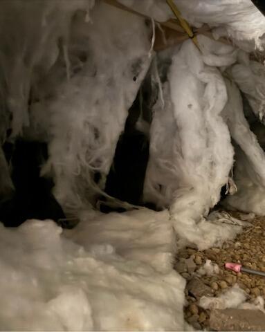 Transformed Crawl Space in Lewis Center, OH - Before Photo