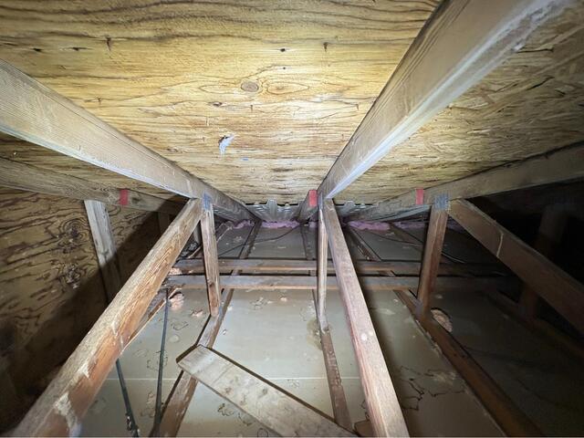 Attic Mold Removal & Insulation In West Bloomfield, MI - Before Photo