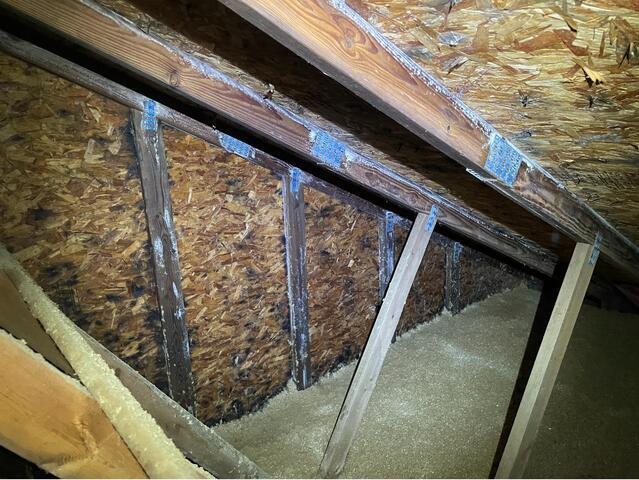 Mold Remediation In Pinckney, MI - Before Photo