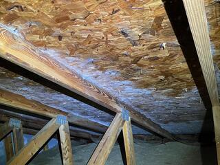 Frosty Sheathing & Mold Remediation In Ann Arbor, MI