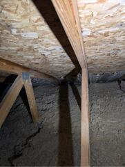 Frosty Sheathing & Mold Remediation In Ann Arbor, MI