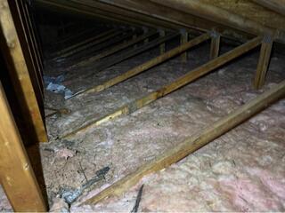 Wet Insulation Removal & Replacement In White Lake, MI