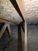 Frosty Sheathing & Mold Remediation In Ann Arbor, MI