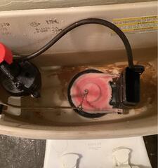 Toilet Repair in Paris, Virginia