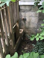 Pipe Leak in Millwood, VA