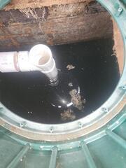 Septic Inspection in Mount Jackson, VA