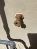 Hose Bib Replacement in Winchester, Virginia