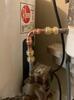 Water Heater Repair in Oakton