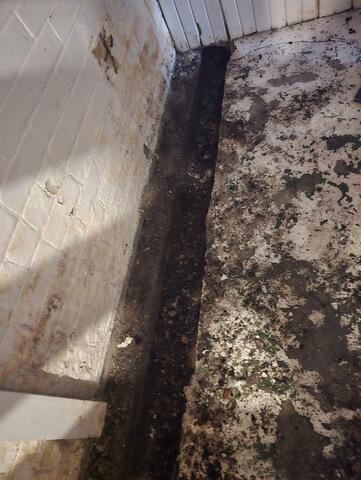 TripleSafe™ Sump Pump System Installed in Grosse Pointe Basement