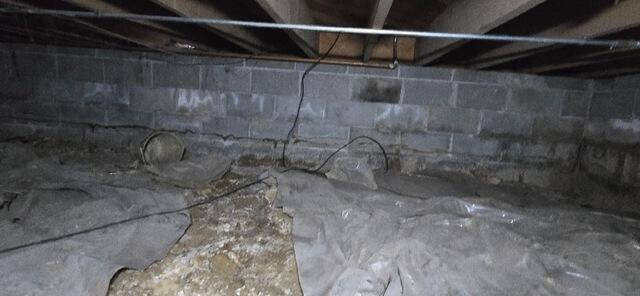 Crawl Space in Royal Oak, MI, Equipped to Fight Against Mold Growth and Water Leakage